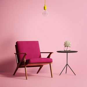 Pellentesque malesuada